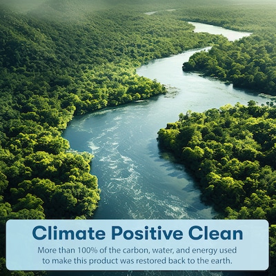 ECOS PRO Free & Clear Dishwasher Detergent Packs, Unscented, 22 Packs/Box (969906)