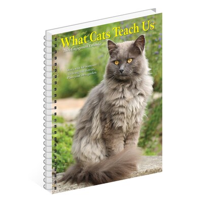 2026 Willow Creek What Cats Teach Us 6.5" x 8.5" Daily & Monthly Personal Organizer (54666)
