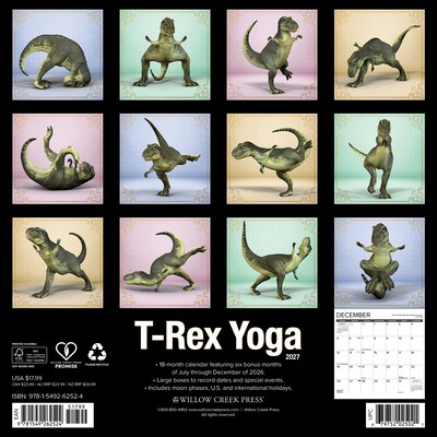 2027 Willow Creek T-Rex Yoga 12 x 12 Monthly Wall Calendar, Assorted Colors (62524)