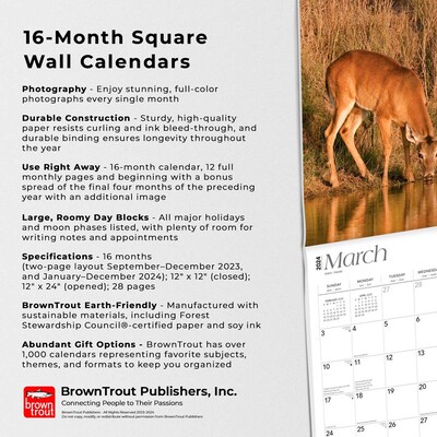 2024 BrownTrout Texas Nature 12" x 24" Monthly Wall Calendar (9781975465308)