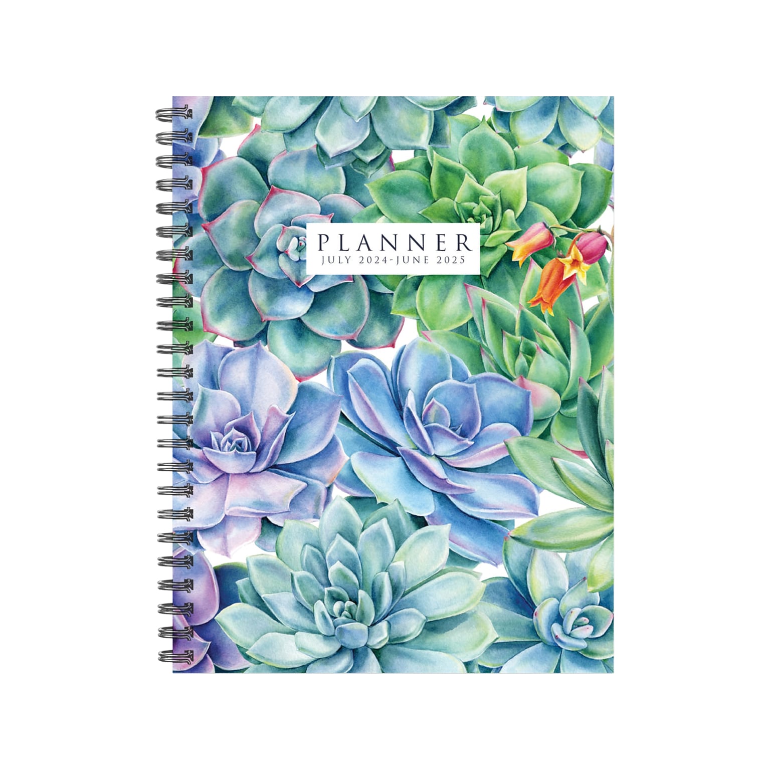 2024-2025 Willow Creek Succulents 6.5 x 8.5 Academic Weekly & Monthly Planner, Paper Cover, Multicolor (47477)