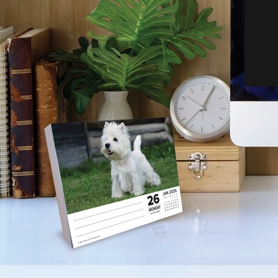 2026 Willow Creek Westies 6.2" x 5.4" Day-to-Day Calendar (54499)