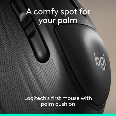 Logitech Signature Comfort Plus M850 L Wireless Ergonomic Optical Mouse, Black (910-007711)