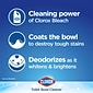 Clorox Disinfecting Toilet Bowl Cleaner with Bleach, Rain Clean Scent, 24 Oz., 2/Pack (00273)