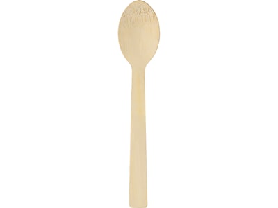 Dixie Compostable Bamboo Spoon, Brown, 1000/Box (ANSBAM)