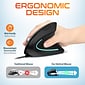 Delton Ergonomic 12 Optical USB Mouse, Black (DMERG12-U)