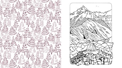 Quarto Beautiful Nature Coloring Book, 128 Pages (9780785843382)