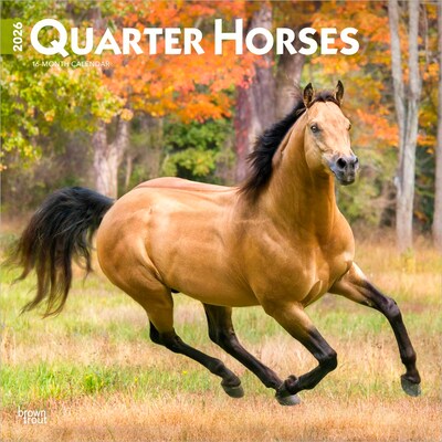 2026 BrownTrout Quarter Horses 12 x 12 Monthly Wall Calendar (9798330705290)