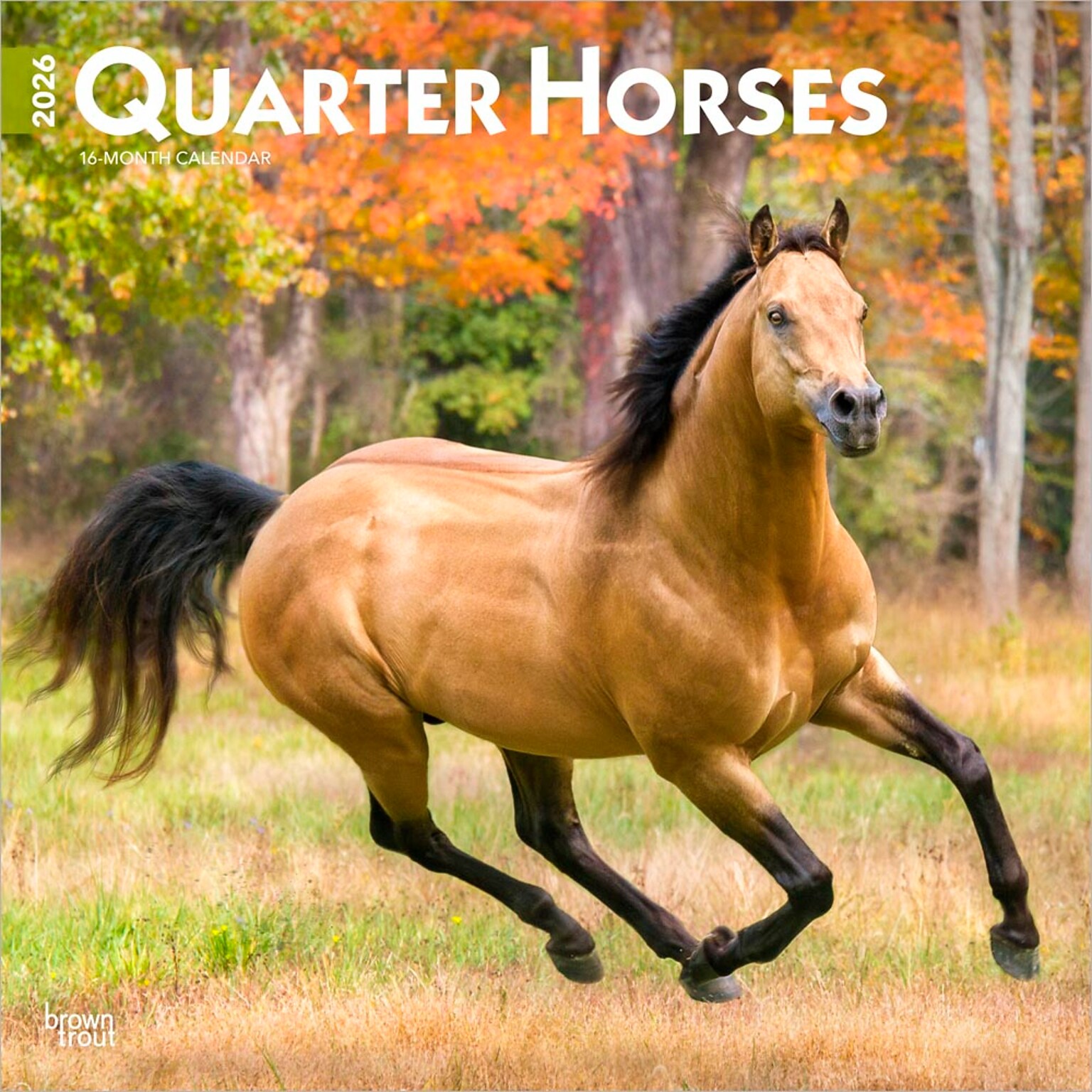 2026 BrownTrout Quarter Horses 12 x 12 Monthly Wall Calendar (9798330705290)