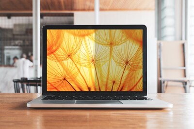 3M Bright Screen Privacy Filter for 15.6" Laptop, (16:9) (BP156W9B)