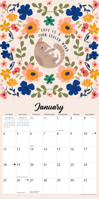 2026 Willow Creek Every Home Needs a Cat 12" x 12" Monthly Wall Calendar (55748)