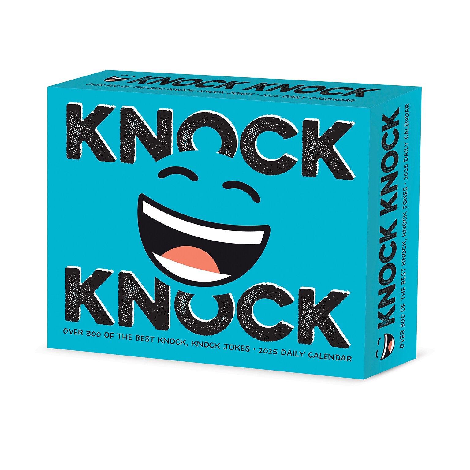 2025 Willow Creek Knock Knock 5.4 x 6.2 Day-to-Day Calendar (40911)