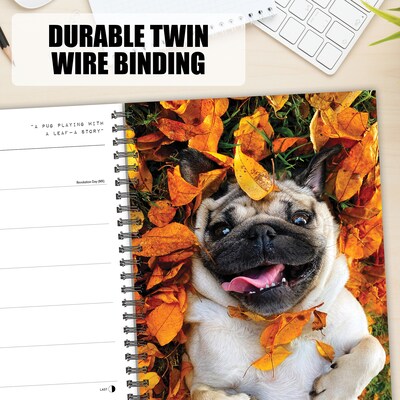2027 Willow Creek Doug the Pug 6.5" x 8.5" Weekly & Monthly Desk Calendar (64405)