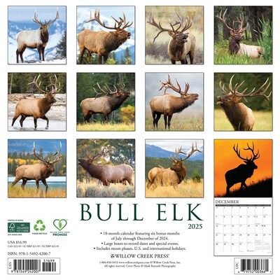 2025 Willow Creek Bull Elk 12 x 12 Monthly Wall Calendar, Multicolor (42007)