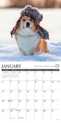 2026 Willow Creek Corgi Rules 12" x 12" Monthly Wall Calendar (50828)