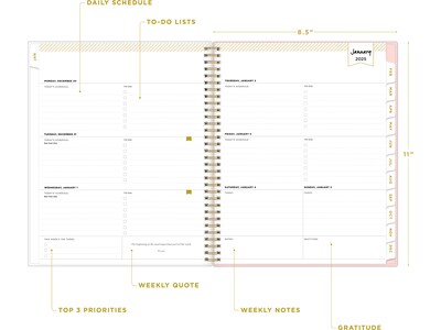 2025 Blue Sky Day Designer Roses Blush 8.5" x 11" Weekly & Monthly Planner, Plastic Cover, Multicolor (140092-25)