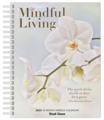 2023 Brush Dance Mindful Living 6.9 x 9.8 Weekly Karma Planner, Multicolor (9781975454685)