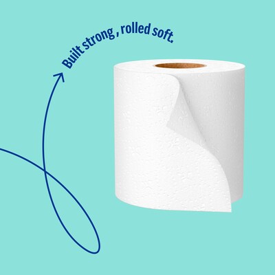 Perk™ Soft & Strong Mega Toilet Paper, 2-ply, White, 24 Rolls/Case (PK63405)