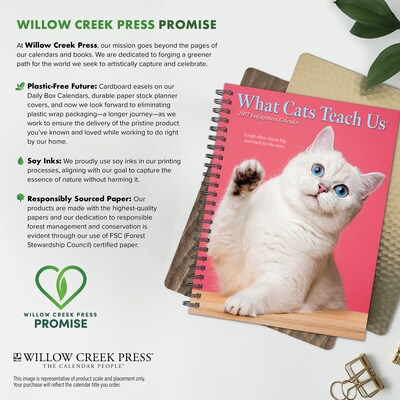 2027 Willow Creek What Cats Teach Us 6.5" x 8.5" Weekly & Monthly Desk Calendar (64443)