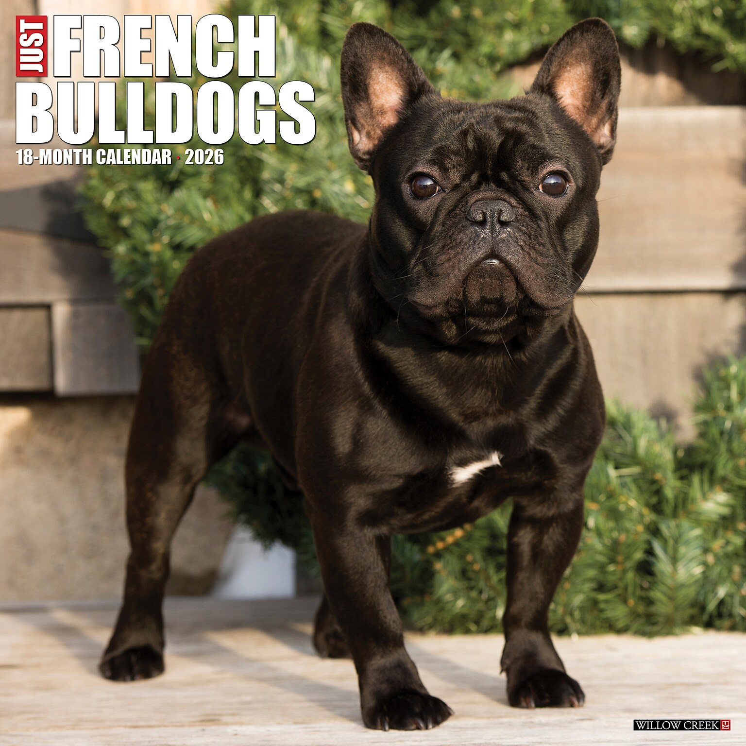 2026 Willow Creek French Bulldogs 12 x 12 Monthly Wall Calendar (51177)