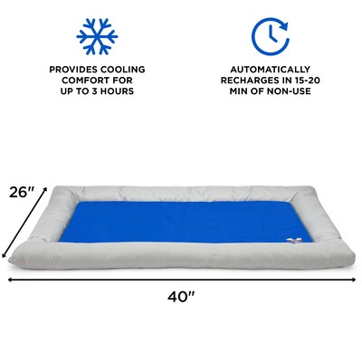 Arf Pets Solid Gel Based Pet Cooling Mat w/ Foam Based Bolster Bed, 26 x 40, Grey/Blue (APCLBL)