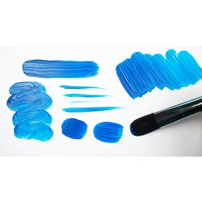 Silver Brush Ruby Satin Size 6 Variety Brush Set, 5/Pack (SLVRS2596)
