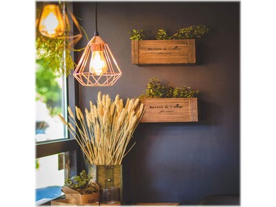 Viribright 5 Watts Warm White LED Decorative Bulb, 6/Box (ST19/641350/6)