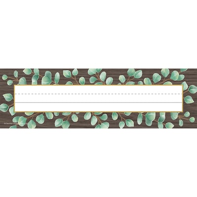 Teacher Created Resources Eucalyptus Flat Name Plates, 3.5 x 11.5, 36 Per Pack, 6 Packs (TCR8691-6)