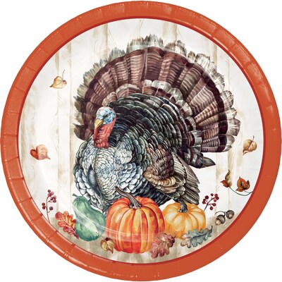 Creative Converting Timeless Turkey Thanksgiving Tableware Set, Serves 8 (DTC9026E2A)