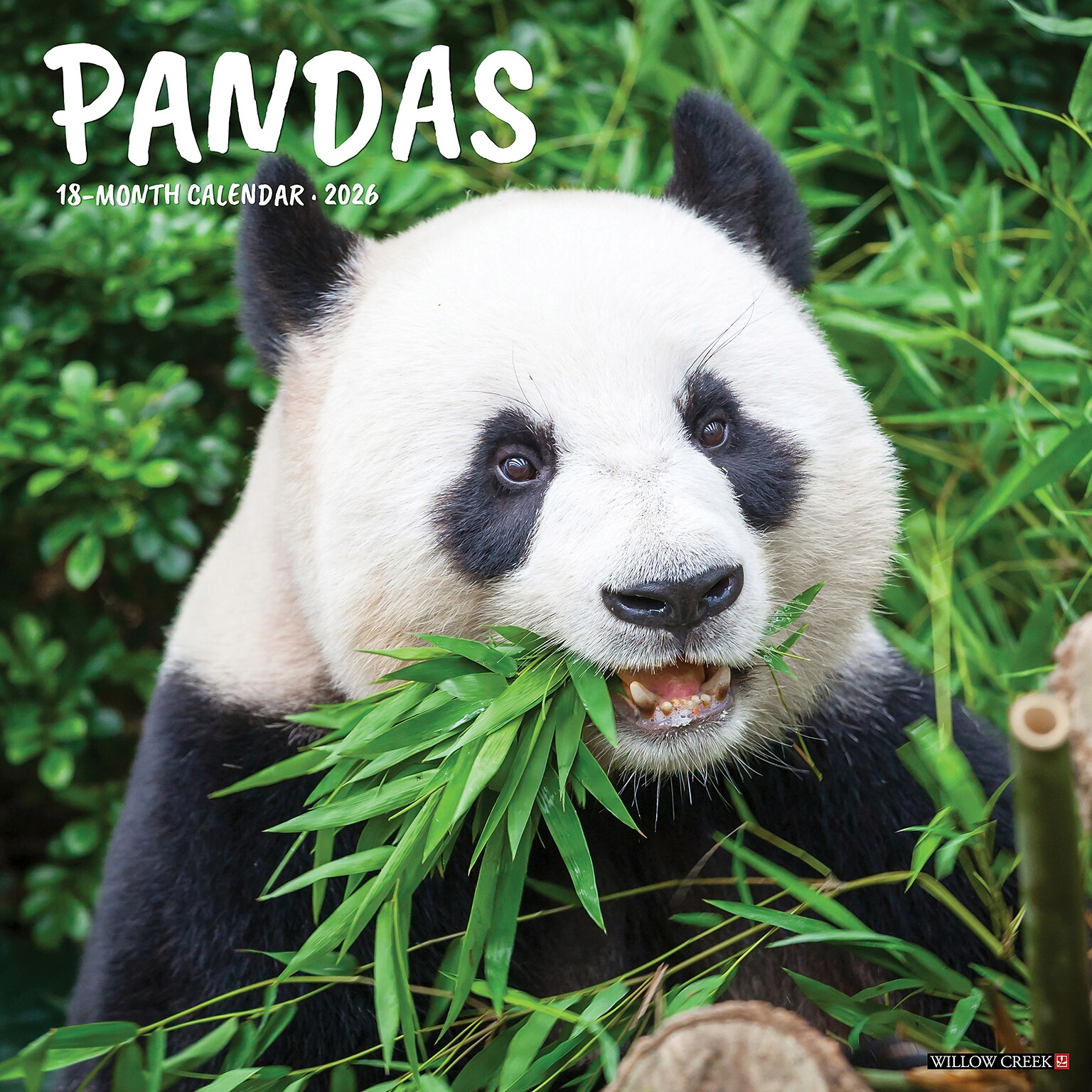 2026 Willow Creek Pandas 12 x 12 Monthly Wall Calendar (56042)