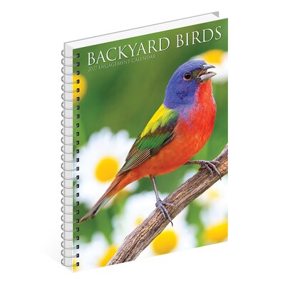 2027 Willow Creek Backyard Birds 6.5" x 8.5" Weekly & Monthly Desk Calendar (64337)