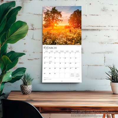 2026 BrownTrout Psalms 12" x 12" Monthly Wall Calendar (9798330705207)