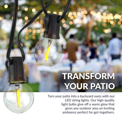 Newhouse Lighting Globe Party LED String Lights, 50 ft., Black (PSTRINGLED50)