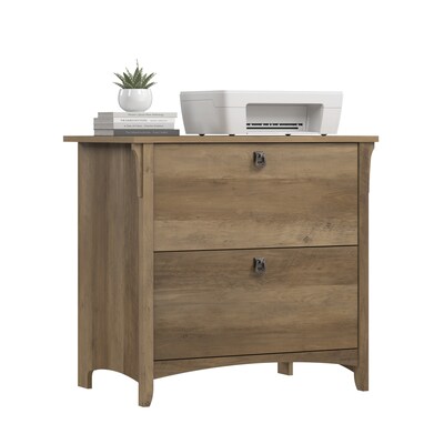 Bush Furniture Salinas 2-Drawer Lateral File Cabinet, Letter/Legal Size, 31.73W, Reclaimed Pine (SAF132RCP-03)