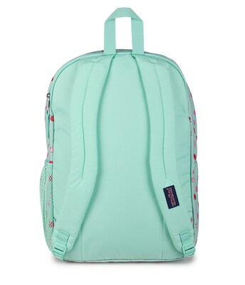 JanSport Big Student Laptop Backpack, Large, Apple Orchard (JS0A47JKA3D)