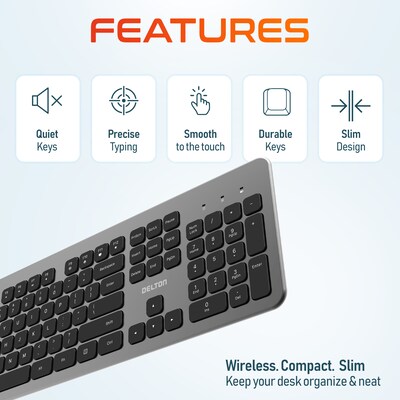 Delton K100 Wireless Keyboard and Optical Mouse Combo, Silver (DKMK100-WB)