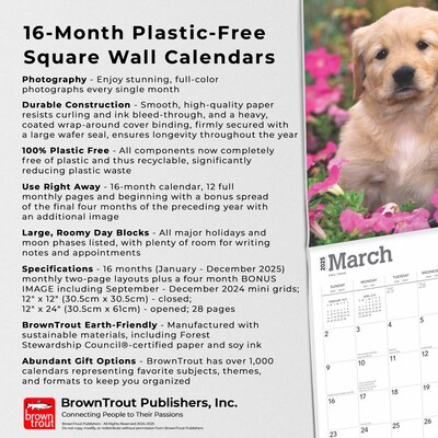 2025 BrownTrout Golden Retriever Puppies 12" x 12" Monthly Square Wall Calendar (9781975477066)