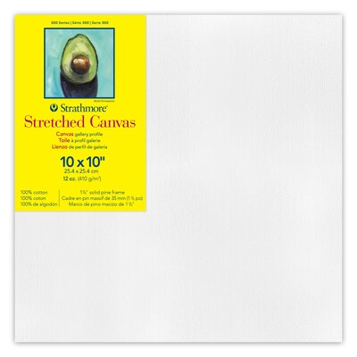 Strathmore 300 Series Primed Gallery Stretched Canvas, 10x10 inch, Pack of 3 (STT31410-3)