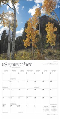 2025 BrownTrout Nevada Wild & Scenic 12" x 12" Monthly Square Wall Calendar (9781975475369)