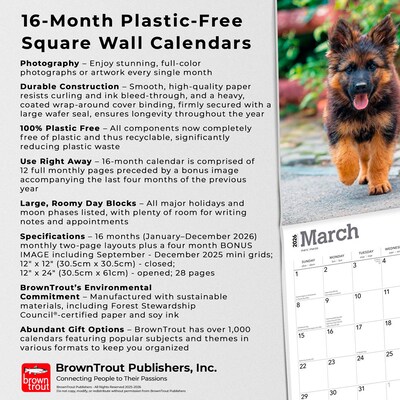 2026 BrownTrout German Shepherds 12" x 12" Monthly Wall Calendar (9798330703388)