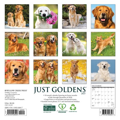 2027 Willow Creek Just Goldens 7 x 7 Monthly Wall Calendar, Assorted Colors (64047)