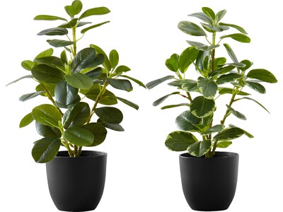 Monarch Specialties Inc. Ficus Elastica in Pot, 2/Pack (I 9585)