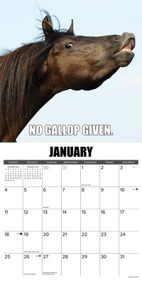 2026 Willow Creek Horsin’ Around 12" x 12" Monthly Wall Calendar (51511)