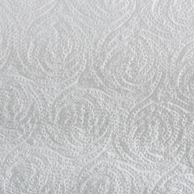 Pacific Blue Select Paper Towels, 2-ply, 100 Sheets/Roll, 30 Rolls/Pack (27300)