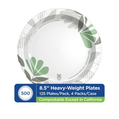 Dixie Ultra Pathways 8.5" Paper Plates, Multicolor, 500/Carton (SXP9PATH)