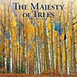 2023 BrownTrout The Majesty of Trees 12 x 12 Monthly Wall Calendar (9781975452155)