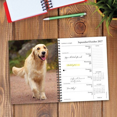 2027 Willow Creek What Goldens Teach Us 6.5" x 8.5" Weekly & Monthly Desk Calendar (64467)
