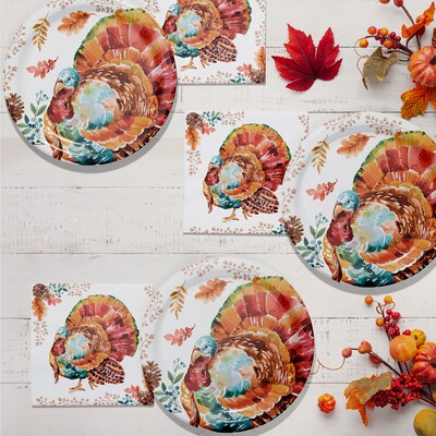 Say Hooray! Tasteful Turkey Paper Plates and Napkins Kit, Multicolored, 48/Pack (DTC9386E2G)