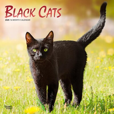 2025 BrownTrout Black Cats 12 x 12 Monthly Wall Calendar (9781975476649)