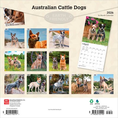 2026 BrownTrout Australian Cattle Dogs 12 x 12 Monthly Wall Calendar (9798330702190)